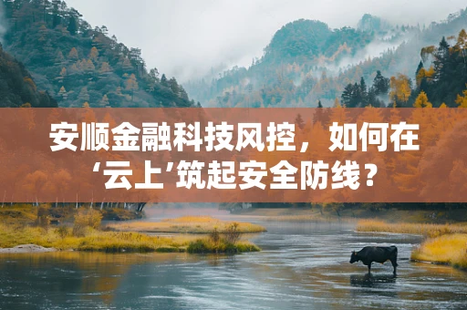 安顺金融科技风控，如何在‘云上’筑起安全防线？