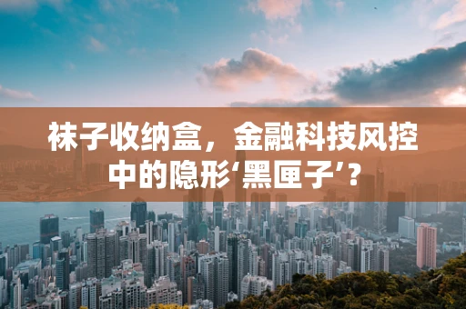 袜子收纳盒，金融科技风控中的隐形‘黑匣子’？