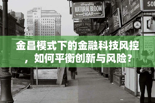 金昌模式下的金融科技风控，如何平衡创新与风险？