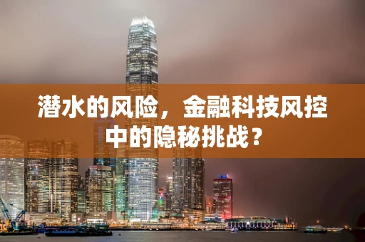 潜水的风险，金融科技风控中的隐秘挑战？