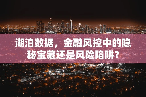 湖泊数据，金融风控中的隐秘宝藏还是风险陷阱？