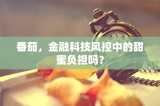 番茄，金融科技风控中的甜蜜负担吗？