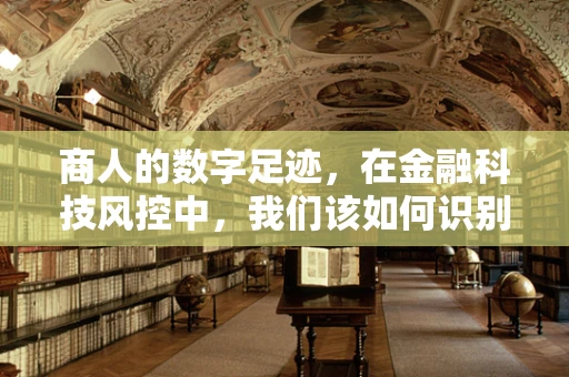商人的数字足迹，在金融科技风控中，我们该如何识别并评估其信用风险？
