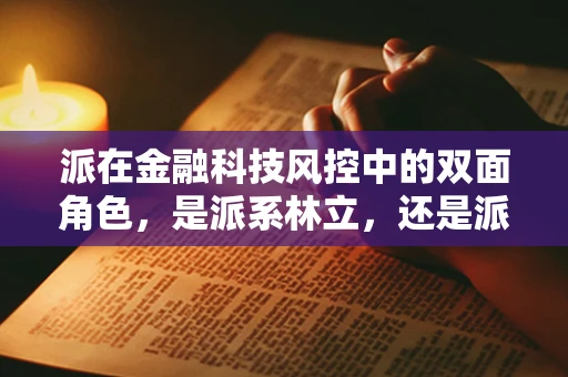 派在金融科技风控中的双面角色，是派系林立，还是派生新解？