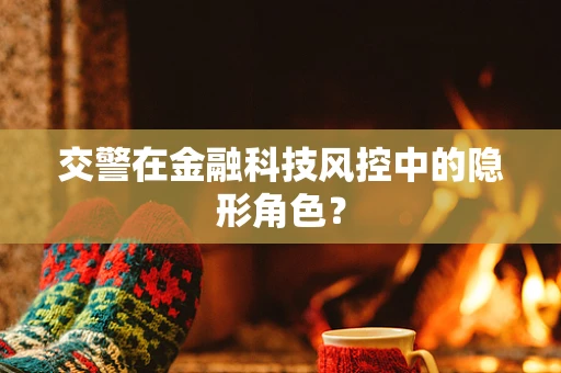 交警在金融科技风控中的隐形角色？