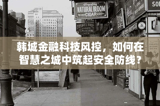 韩城金融科技风控，如何在智慧之城中筑起安全防线？