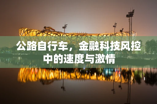 公路自行车，金融科技风控中的速度与激情