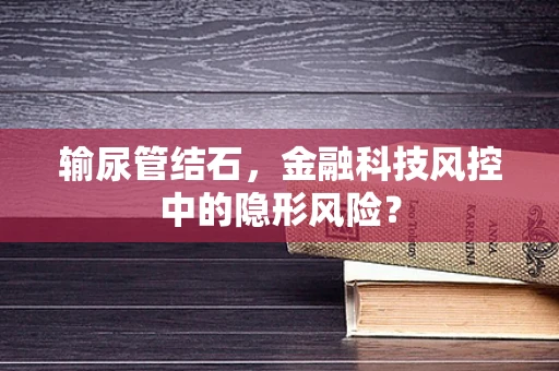输尿管结石，金融科技风控中的隐形风险？