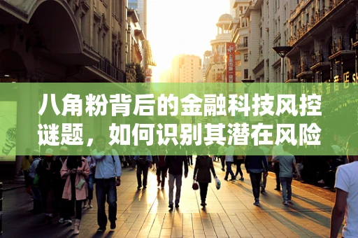 八角粉背后的金融科技风控谜题，如何识别其潜在风险？
