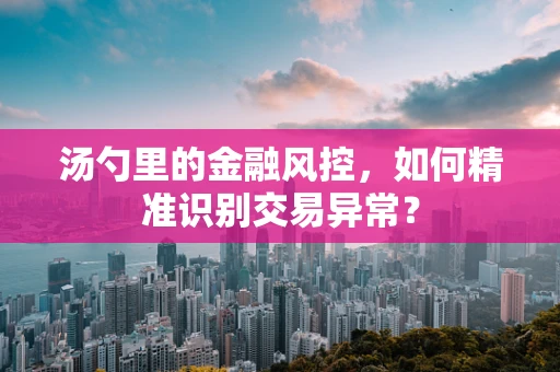 汤勺里的金融风控，如何精准识别交易异常？