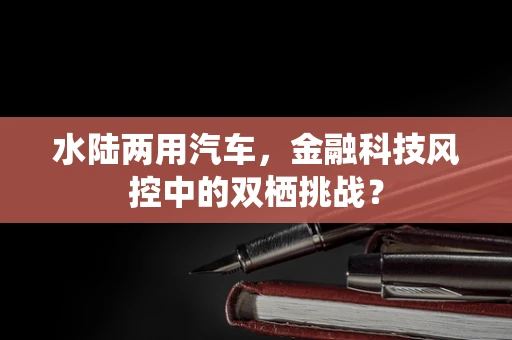 水陆两用汽车，金融科技风控中的双栖挑战？