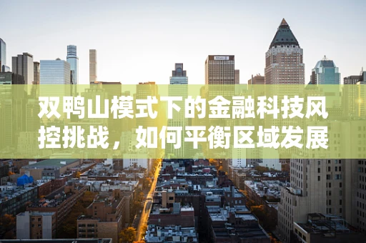 双鸭山模式下的金融科技风控挑战，如何平衡区域发展与风险防控？