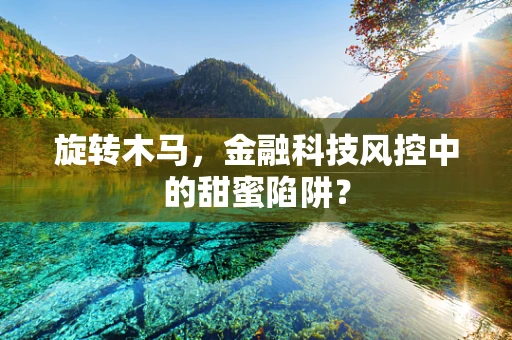 旋转木马，金融科技风控中的甜蜜陷阱？