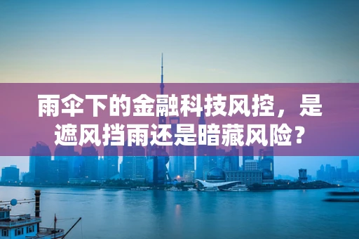 雨伞下的金融科技风控，是遮风挡雨还是暗藏风险？