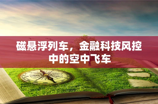 磁悬浮列车，金融科技风控中的空中飞车