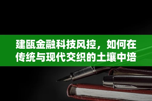 建瓯金融科技风控，如何在传统与现代交织的土壤中培育出稳健的金融之树？