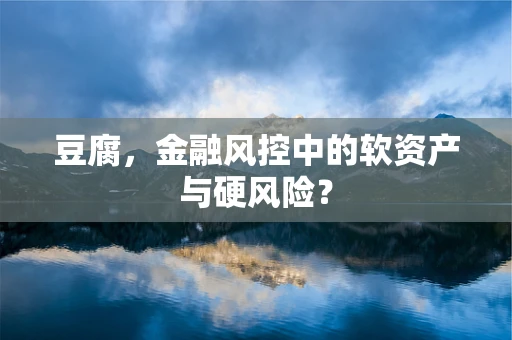 豆腐，金融风控中的软资产与硬风险？