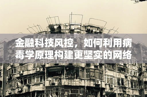 金融科技风控，如何利用病毒学原理构建更坚实的网络安全防线？