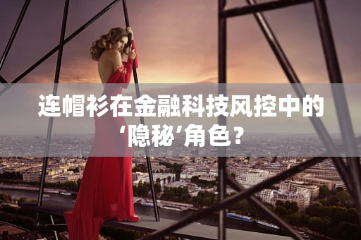 连帽衫在金融科技风控中的‘隐秘’角色？