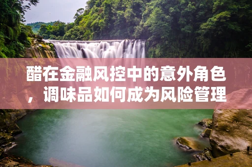醋在金融风控中的意外角色，调味品如何成为风险管理的秘密武器？