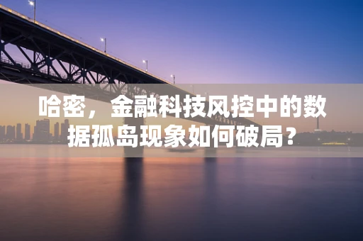 哈密，金融科技风控中的数据孤岛现象如何破局？