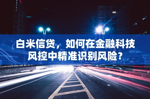 白米信贷，如何在金融科技风控中精准识别风险？