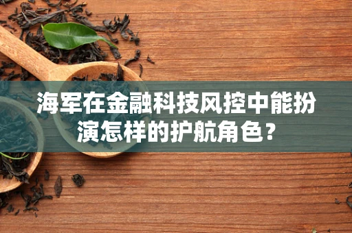 海军在金融科技风控中能扮演怎样的护航角色？