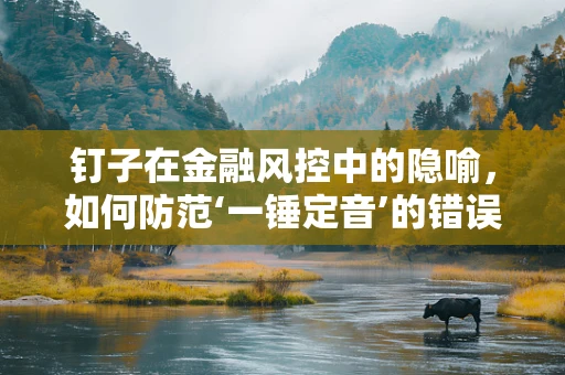 钉子在金融风控中的隐喻，如何防范‘一锤定音’的错误决策？