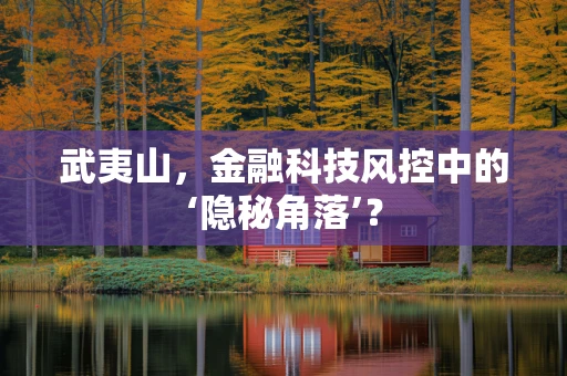 武夷山，金融科技风控中的‘隐秘角落’？