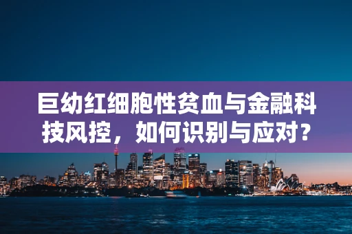 巨幼红细胞性贫血与金融科技风控，如何识别与应对？