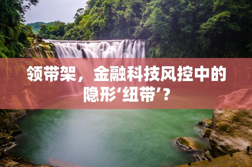 领带架，金融科技风控中的隐形‘纽带’？