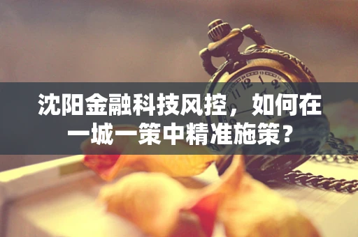 沈阳金融科技风控，如何在一城一策中精准施策？