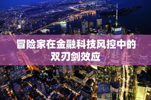 冒险家在金融科技风控中的双刃剑效应