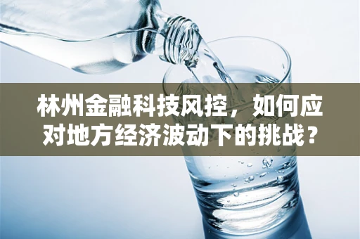 林州金融科技风控，如何应对地方经济波动下的挑战？