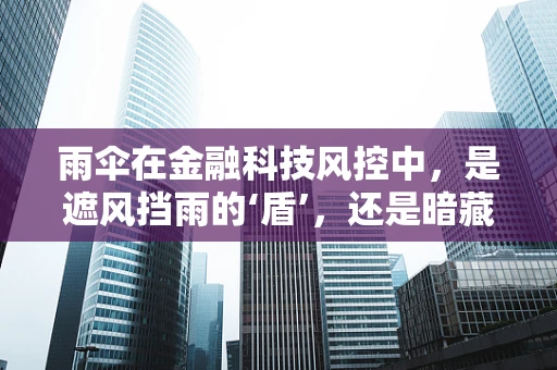 雨伞在金融科技风控中，是遮风挡雨的‘盾’，还是暗藏风险的‘矛’？
