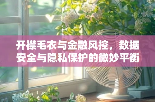开襟毛衣与金融风控，数据安全与隐私保护的微妙平衡