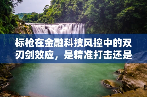 标枪在金融科技风控中的双刃剑效应，是精准打击还是误伤无辜？