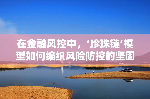 在金融风控中，‘珍珠链’模型如何编织风险防控的坚固网？