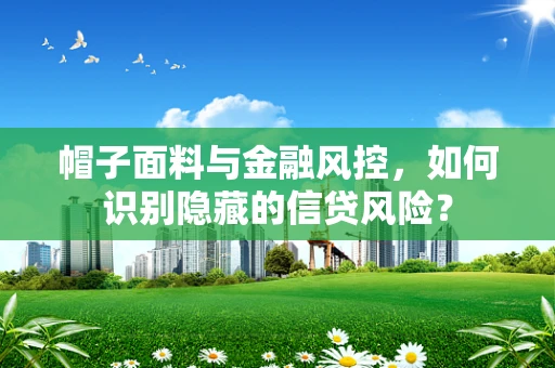 帽子面料与金融风控，如何识别隐藏的信贷风险？