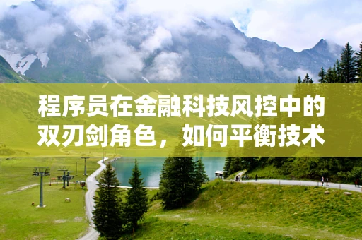程序员在金融科技风控中的双刃剑角色，如何平衡技术优势与安全风险？