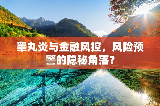 睾丸炎与金融风控，风险预警的隐秘角落？