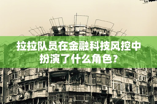 拉拉队员在金融科技风控中扮演了什么角色？