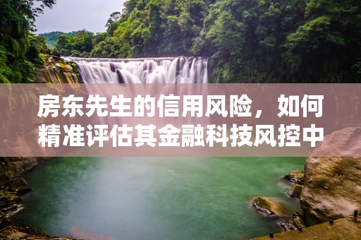 房东先生的信用风险，如何精准评估其金融科技风控中的角色？