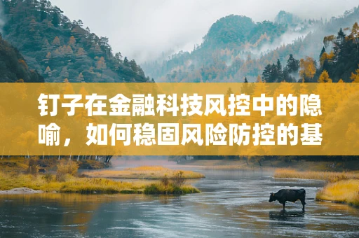 钉子在金融科技风控中的隐喻，如何稳固风险防控的基石？