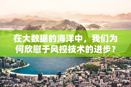 在大数据的海洋中，我们为何欣慰于风控技术的进步？
