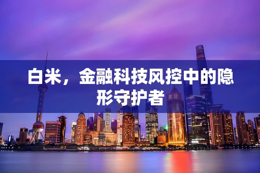 白米，金融科技风控中的隐形守护者
