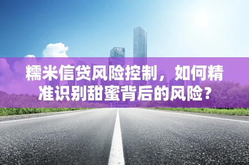 糯米信贷风险控制，如何精准识别甜蜜背后的风险？