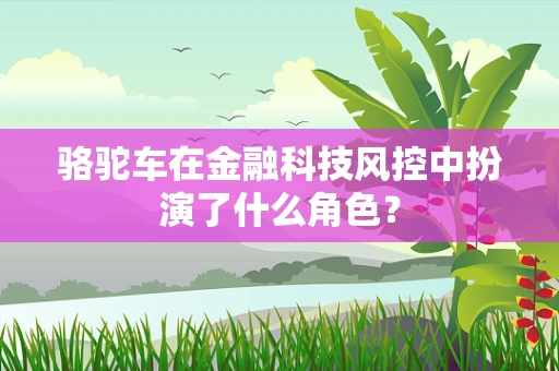 骆驼车在金融科技风控中扮演了什么角色？