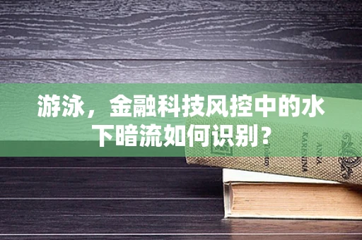 游泳，金融科技风控中的水下暗流如何识别？