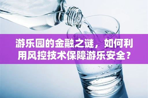 游乐园的金融之谜，如何利用风控技术保障游乐安全？
